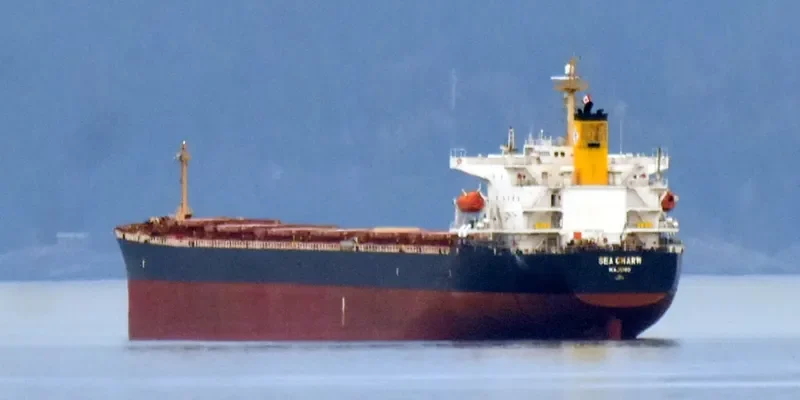 SEA CHARM Bulk Carrier IMO 9252412 photo 4