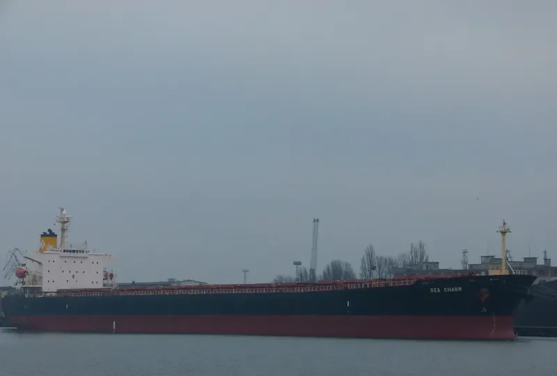 SEA CHARM Bulk Carrier IMO 9252412 photo 9