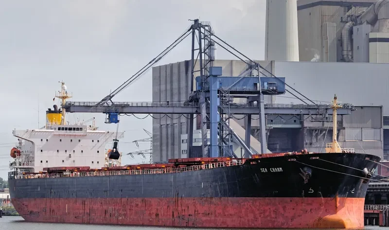 SEA CHARM Bulk Carrier IMO 9252412 photo 10