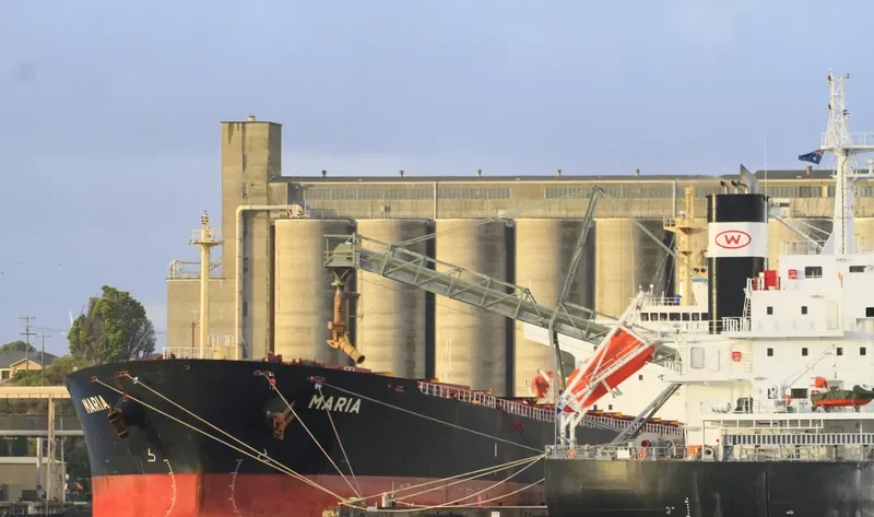SUBARNAREKHA Bulk Carrier IMO 9252424 photo 9