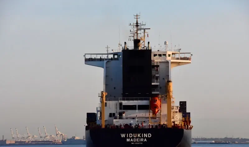 INDEPENDENT VISION Container Ship IMO 9252735 photo 8