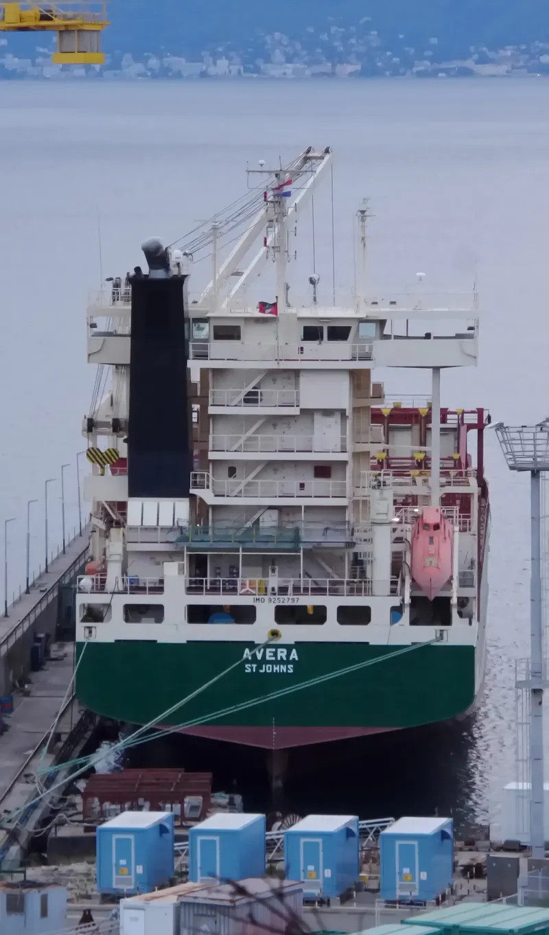 AVERA Container Ship IMO 9252797 photo 7