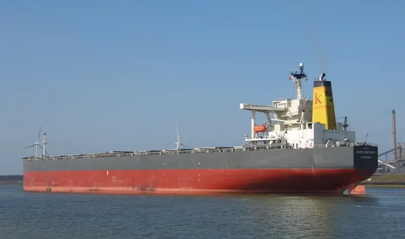 CAPE CENTURY Bulk Carrier IMO 9253088 photo 3