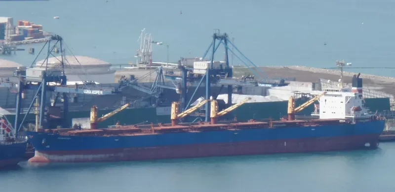 NEW SUCCESS Bulk Carrier IMO 9253181 photo 6