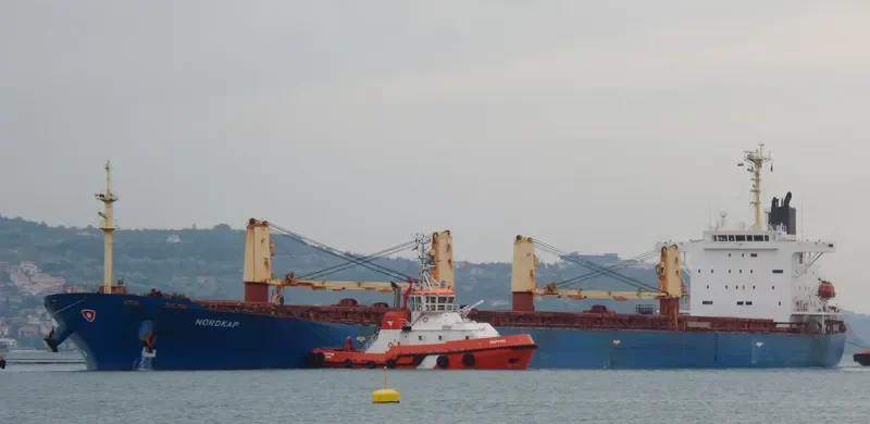 NEW SUCCESS Bulk Carrier IMO 9253181 photo 8