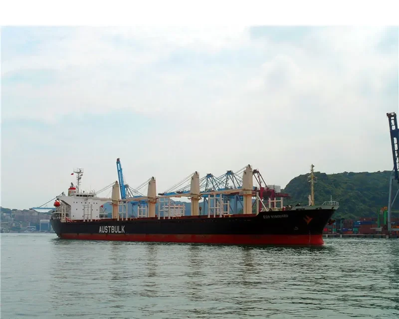 TAN BINH 135 Bulk Carrier IMO 9253404