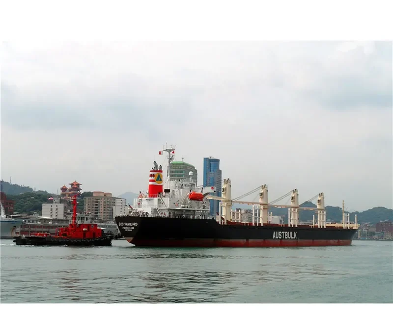 TAN BINH 135 Bulk Carrier IMO 9253404 photo 4