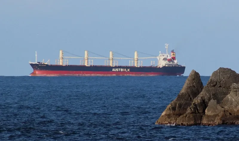 TAN BINH 135 Bulk Carrier IMO 9253404 photo 9
