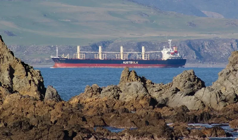 TAN BINH 135 Bulk Carrier IMO 9253404 photo 10