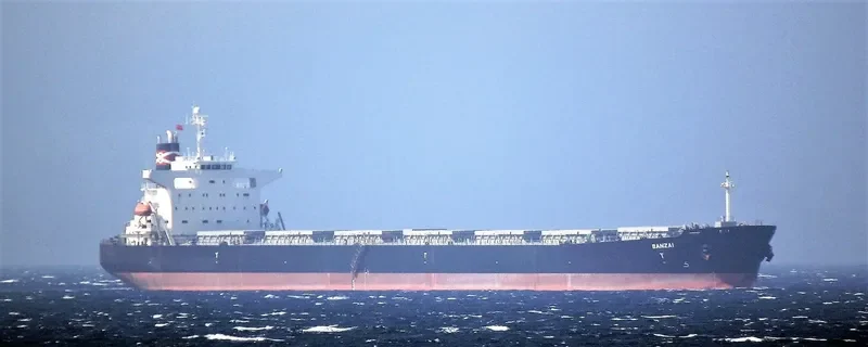 XIN MENG XIANG Bulk Carrier IMO 9253806