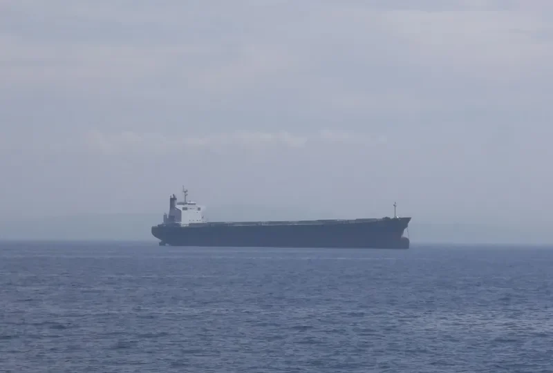 XIN MENG XIANG Bulk Carrier IMO 9253806 photo 4