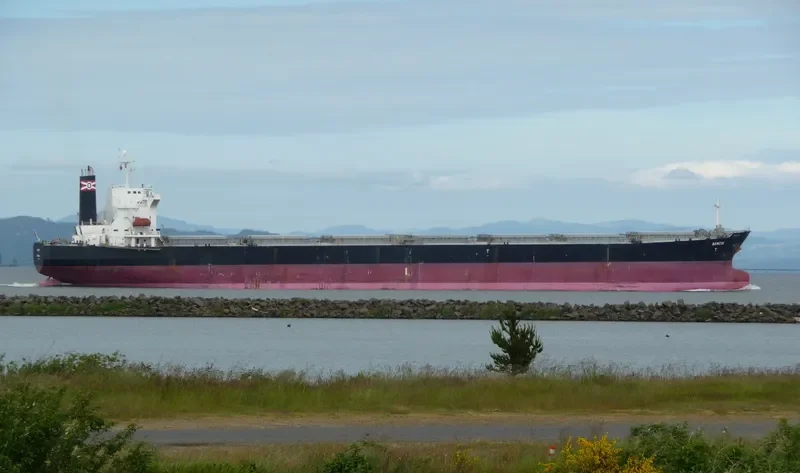 XIN MENG XIANG Bulk Carrier IMO 9253806 photo 9