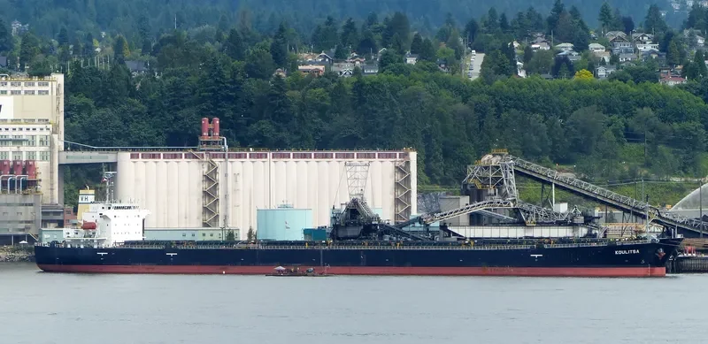 KOULITSA Bulk Carrier IMO 9253832 photo 7