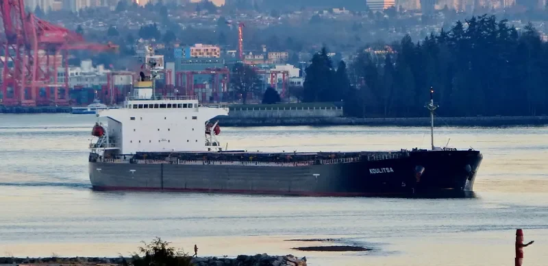 KOULITSA Bulk Carrier IMO 9253832 photo 9