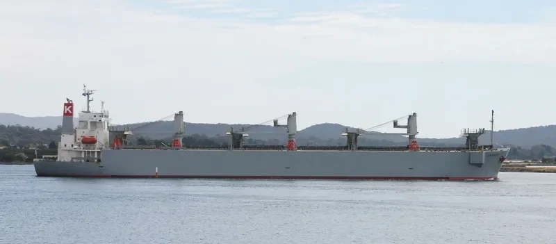 DYNAGREEN Bulk Carrier IMO 9253844 photo 9