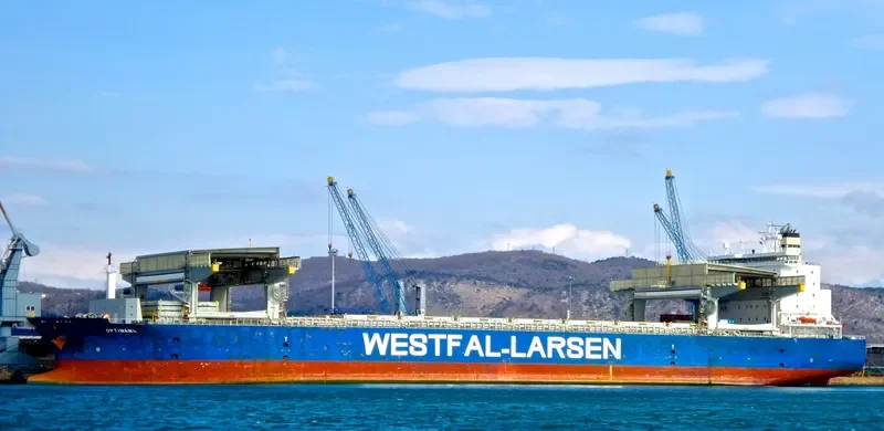 OPTIMANA Container Ship IMO 9253856 photo 8