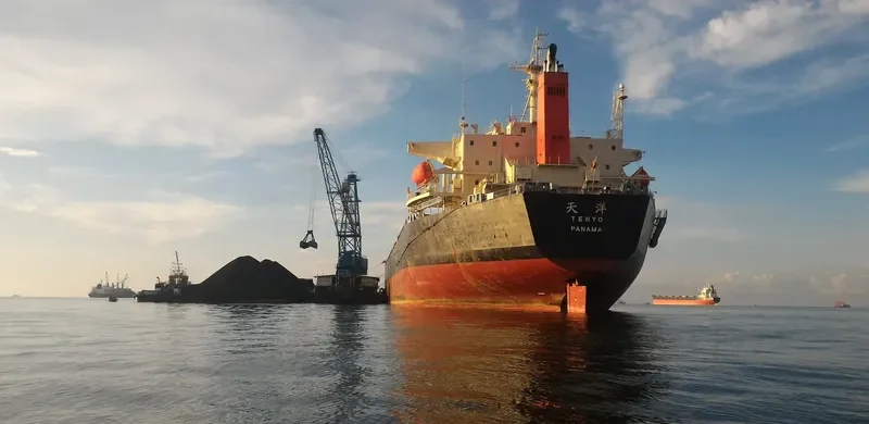 ZHAN PENG87 Bulk Carrier IMO 9253985 photo 4
