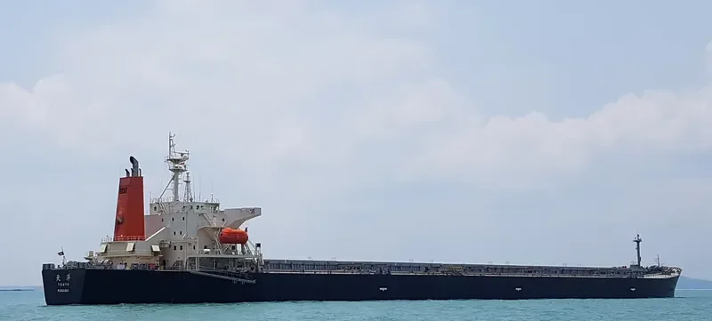ZHAN PENG87 Bulk Carrier IMO 9253985 photo 5