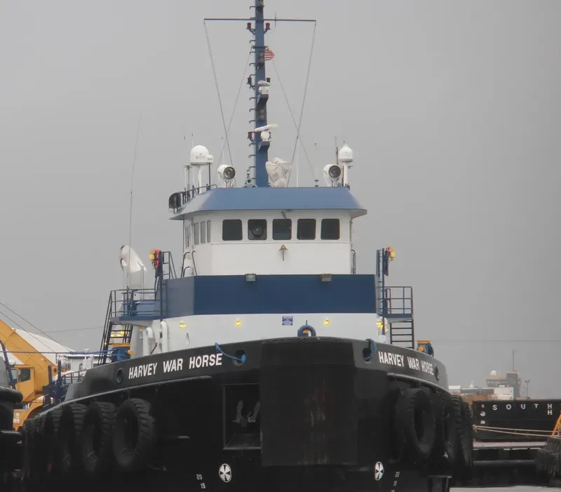 SIGNET WARHORSE I General Cargo IMO 9254018