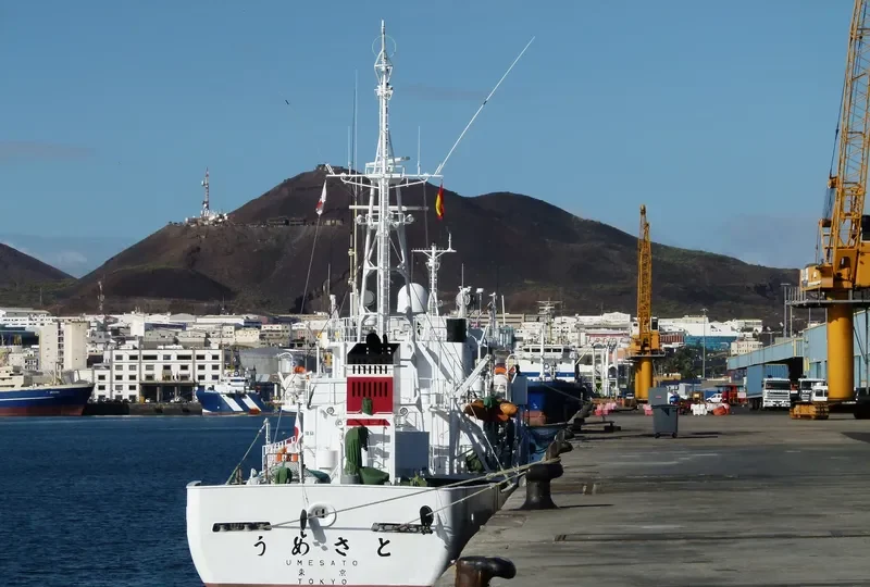 UMESATO General Cargo IMO 9254161 photo 2