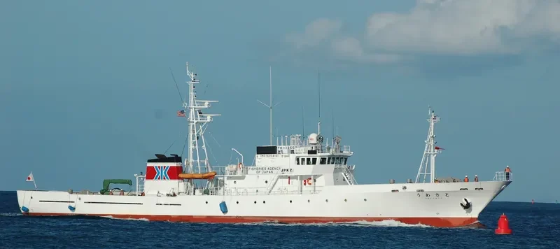 UMESATO General Cargo IMO 9254161 photo 4