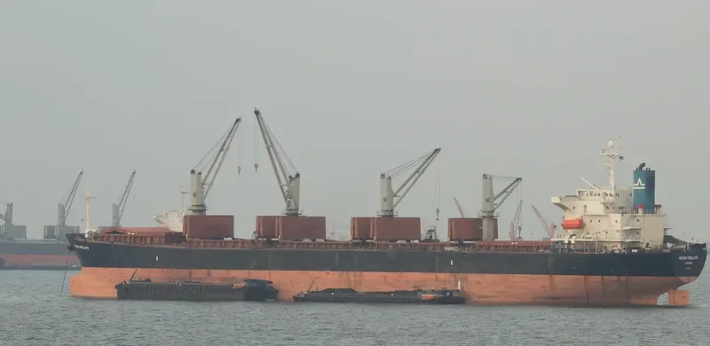 OCEAN PILGRIM Bulk Carrier IMO 9254458 photo 4
