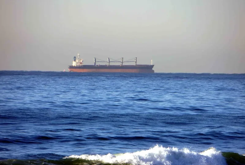 OCEAN PILGRIM Bulk Carrier IMO 9254458 photo 6