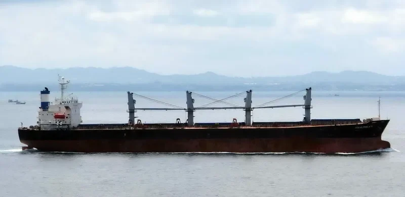 OCEAN PILGRIM Bulk Carrier IMO 9254458 photo 9