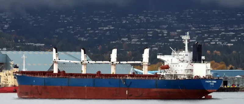 PACIFIC CEBU Bulk Carrier IMO 9254460