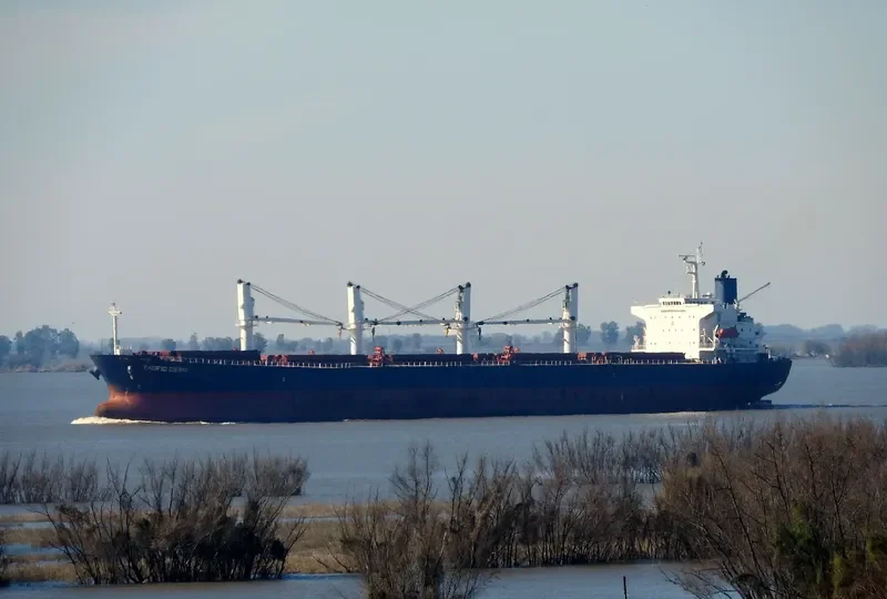 PACIFIC CEBU Bulk Carrier IMO 9254460 photo 5