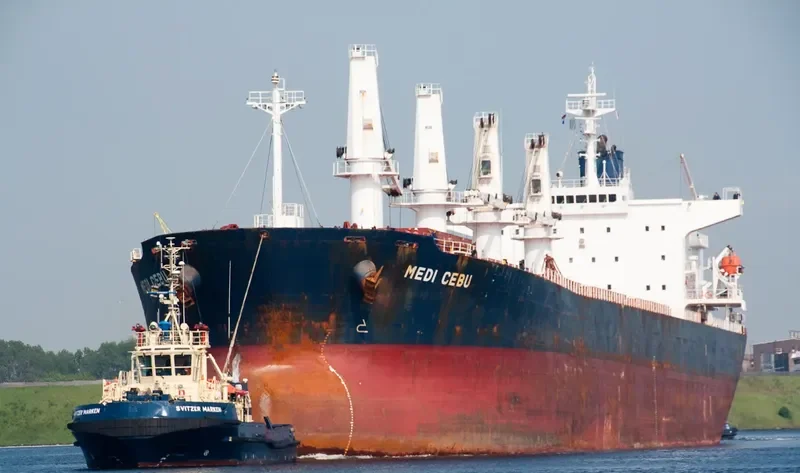 PACIFIC CEBU Bulk Carrier IMO 9254460 photo 10