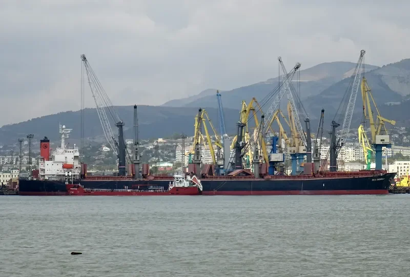 INCE INEBOLU Bulk Carrier IMO 9254472 photo 3