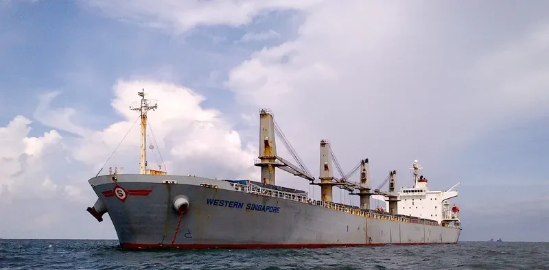 MANALAGI SAMBA Bulk Carrier IMO 9254501 photo 2