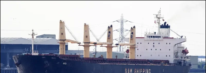 BAO LAI Bulk Carrier IMO 9254513
