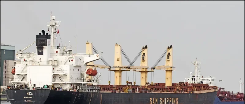 BAO LAI Bulk Carrier IMO 9254513 photo 2