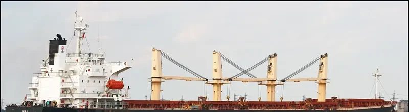 BAO LAI Bulk Carrier IMO 9254513 photo 3