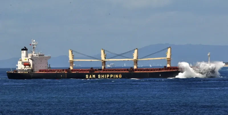 BAO LAI Bulk Carrier IMO 9254513 photo 10