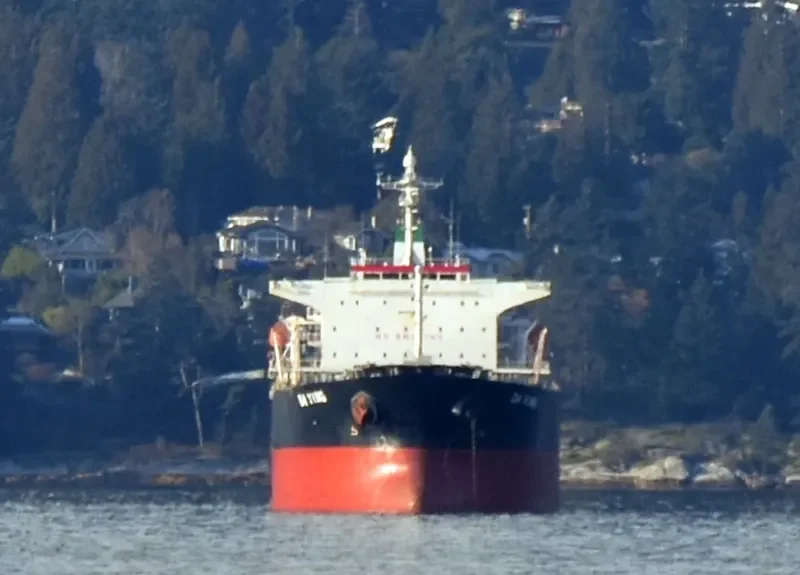 DA YING Bulk Carrier IMO 9254525 photo 7