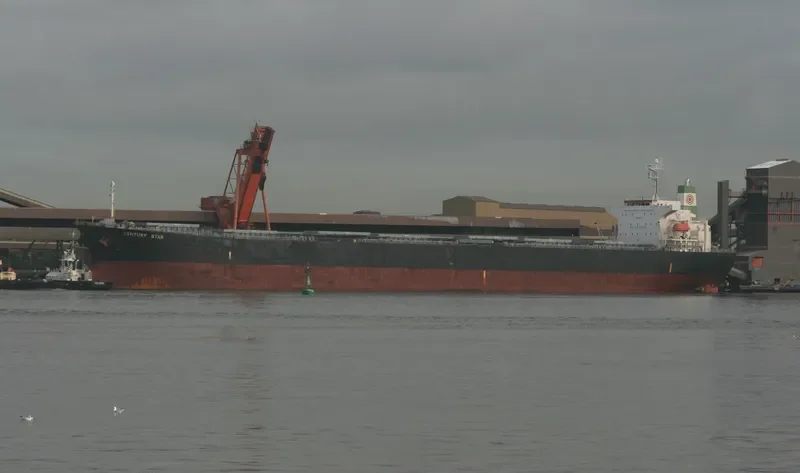 DA YING Bulk Carrier IMO 9254525 photo 9
