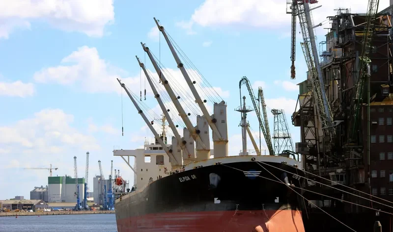 ELPIDA GR Bulk Carrier IMO 9254630 photo 3