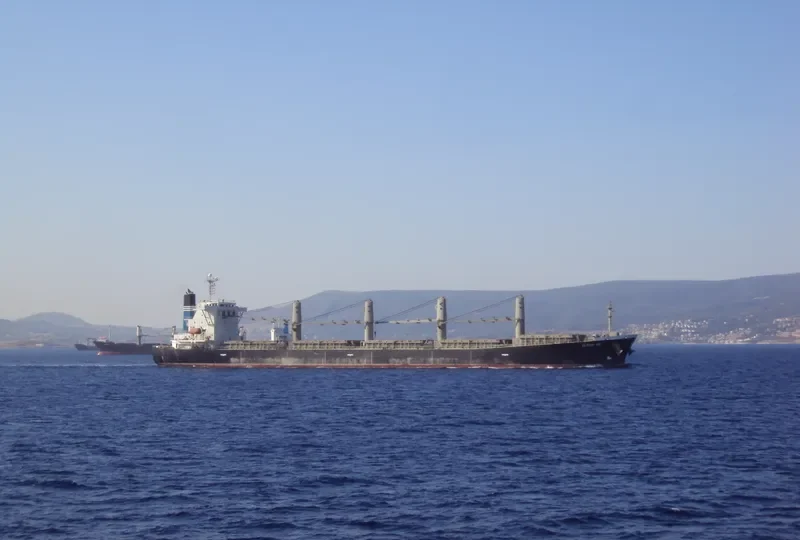 ELPIDA GR Bulk Carrier IMO 9254630 photo 7