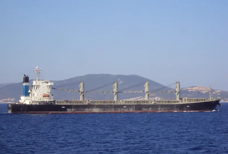 ELPIDA GR Bulk Carrier IMO 9254630 photo 9