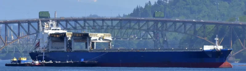 STAR JAPAN General Cargo IMO 9254654