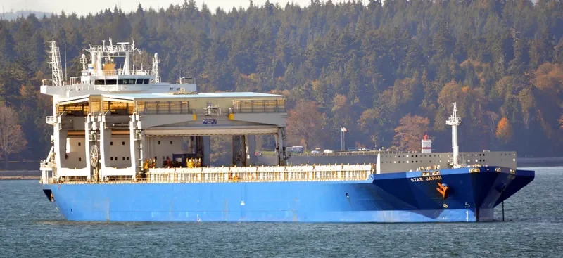 STAR JAPAN General Cargo IMO 9254654 photo 7