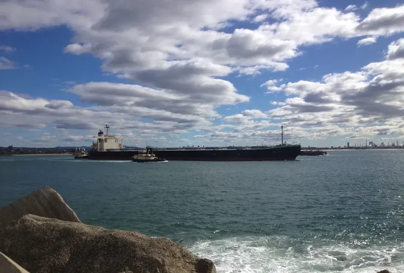 SUNNY LINK Bulk Carrier IMO 9254666 photo 4
