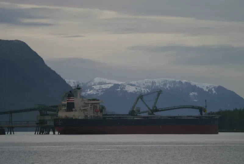 SUNNY LINK Bulk Carrier IMO 9254666 photo 5