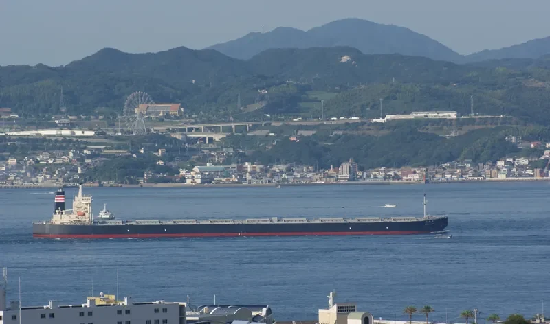SUNNY LINK Bulk Carrier IMO 9254666 photo 7