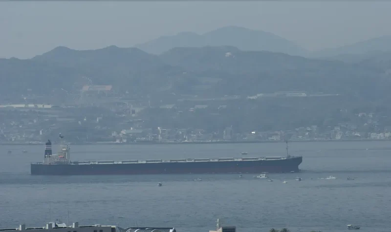 SUNNY LINK Bulk Carrier IMO 9254666 photo 9