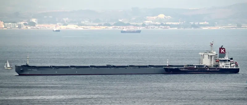 STAR TRIUMPH Bulk Carrier IMO 9254692 photo 5