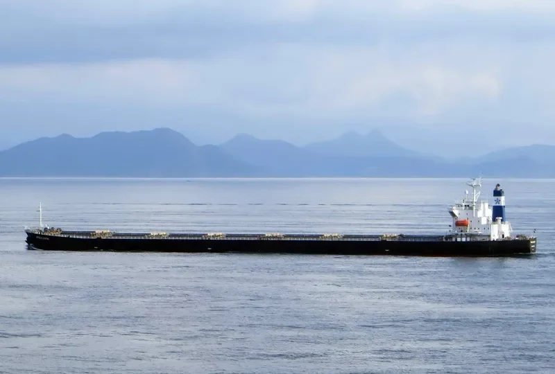 ROSCO LEMON Bulk Carrier IMO 9254707